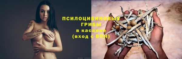 эйфоретик Армянск