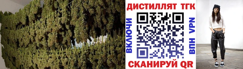 закладка  Шумиха  ТГК гашишное масло 